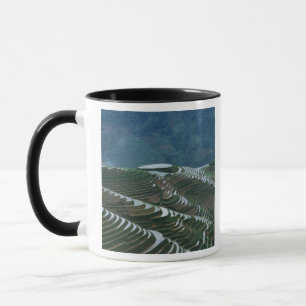 Landscape of rice terraces in the mountain, 2 mug