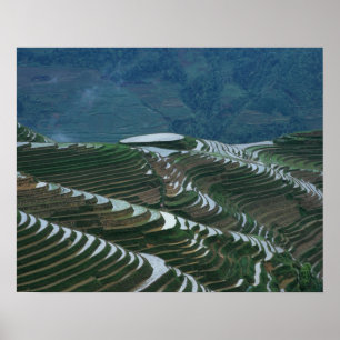 Landscape of rice terraces in the mountain, 2 poster