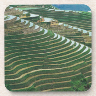 Landscape of rice terraces in the mountain, 3 coaster