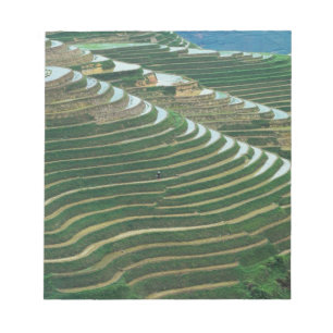 Landscape of rice terraces in the mountain, 3 notepad