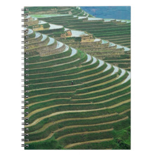 Landscape of rice terraces in the mountain, 3 spiral notebook