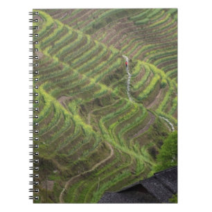 Landscape of rice terraces in the mountain, spiral notebook