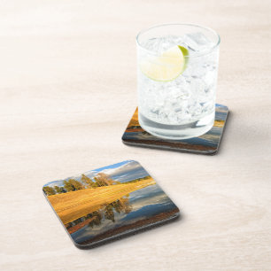 Landscape of Yellowstone Coaster