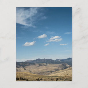 Landscape #P4138 Postcard