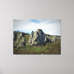 Landscape Photo Canvas Print