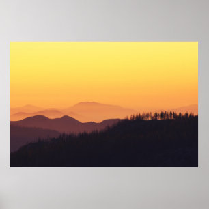 LANDSCAPE PHOTO OF FOREST DURING GOLDEN HOUR POSTER