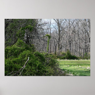 Landscape Photo Poster