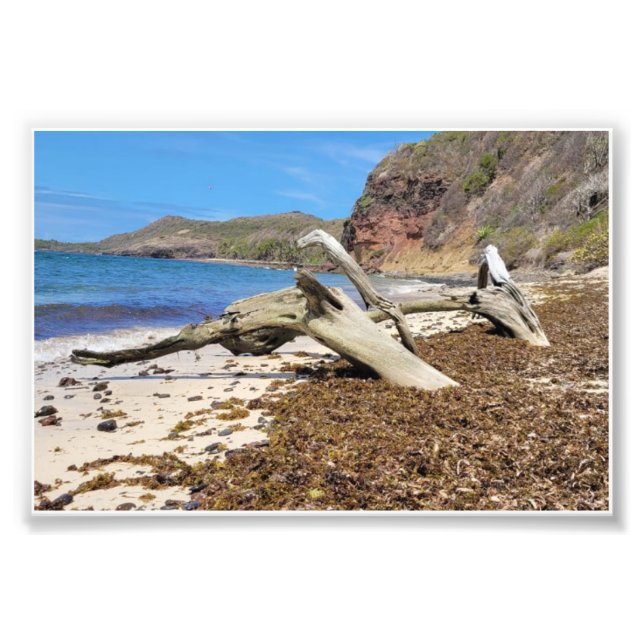 landscape photo print (Front)