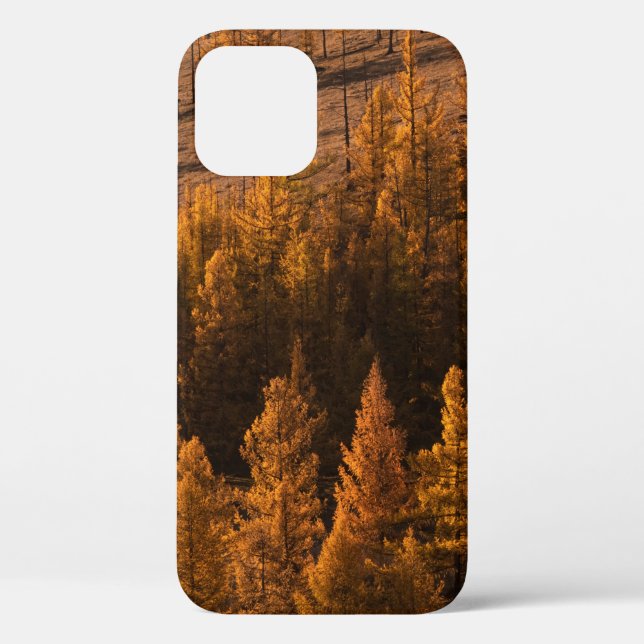 LANDSCAPE PHOTOGRAPHY OF BROWN-LEAFED TREES Case-Mate iPhone CASE (Back)