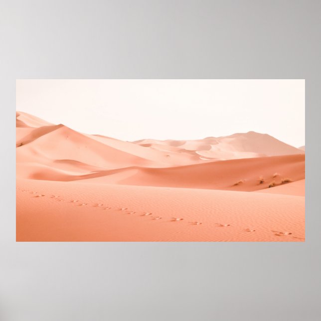 LANDSCAPE PHOTOGRAPHY OF DESSERT POSTER (Front)