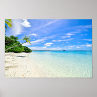 Landscape Photography of Trees on Shoreline