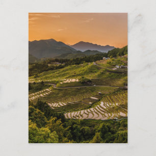 Landscape Postcard