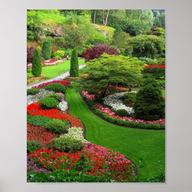 landscape poster (Front)