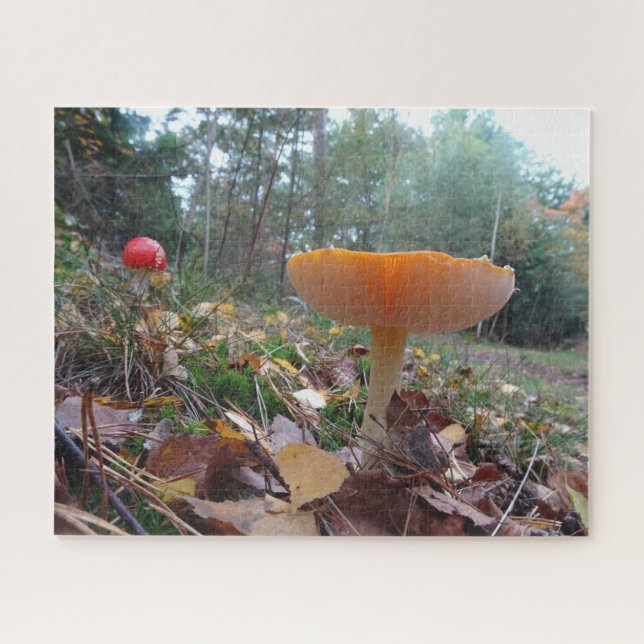 Landscape Puzzle: Two Cute Fly Amanitas Jigsaw Puzzle (Horizontal)