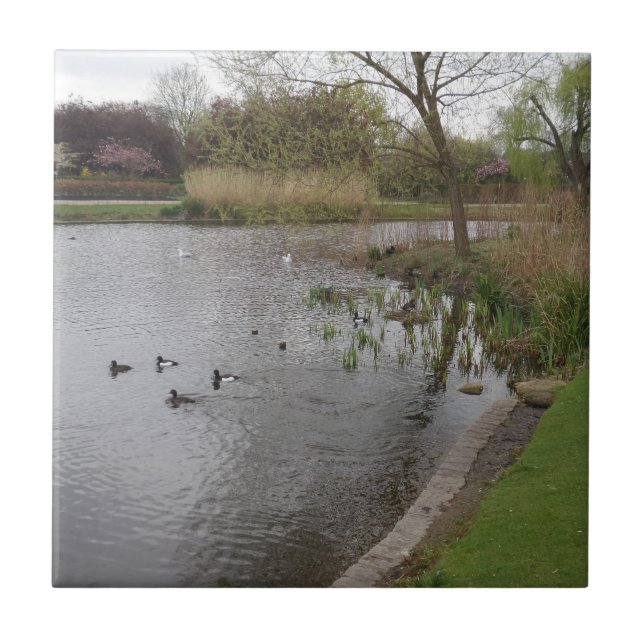 Landscape Small (4.25" x 4.25") Ceramic Photo Tile (Front)