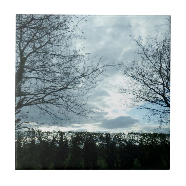 Landscape Small (4.25" x 4.25") Ceramic Photo Tile (Front)