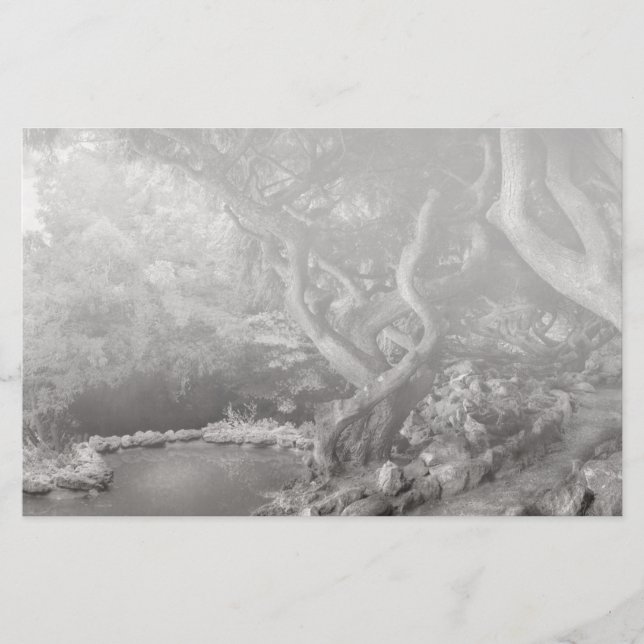 Landscape - The Forbidden Forest (Front)