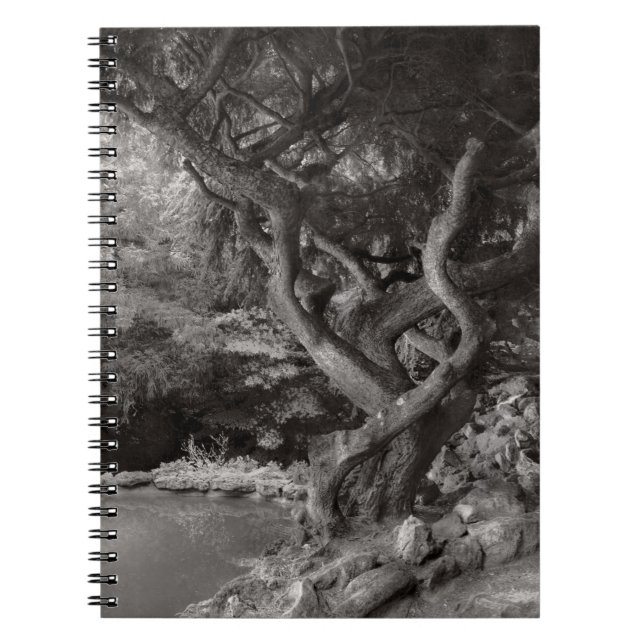Landscape - The Forbidden Forest Spiral Notebook (Front)