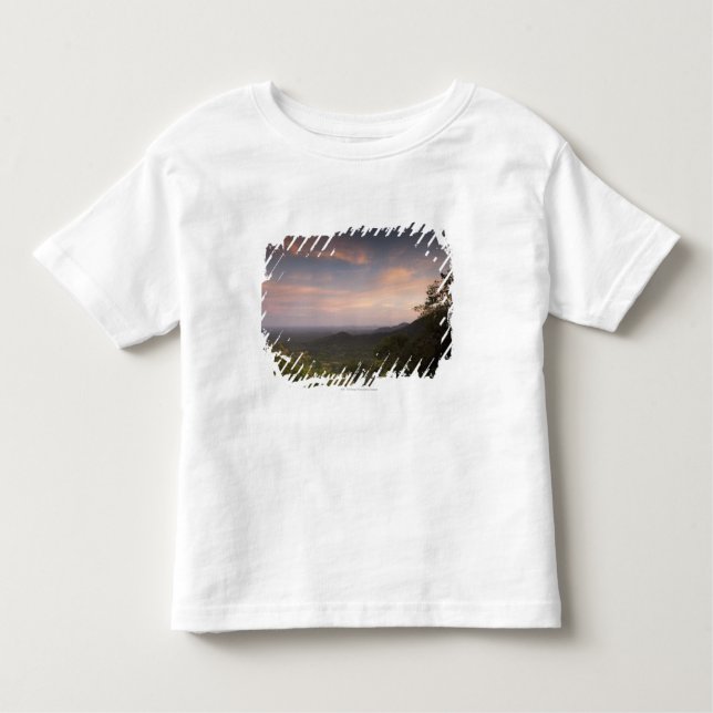 Landscape Under A Sunset Toddler T-Shirt (Front)