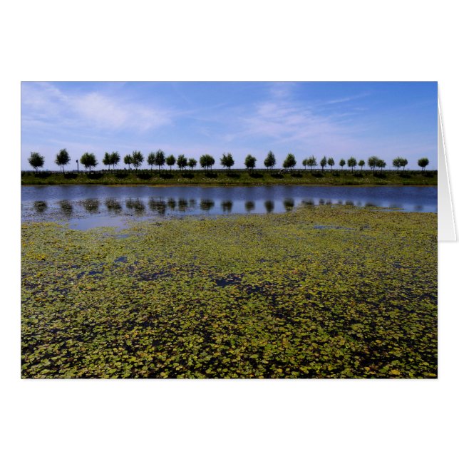 Landscape Waterscape (Front Horizontal)