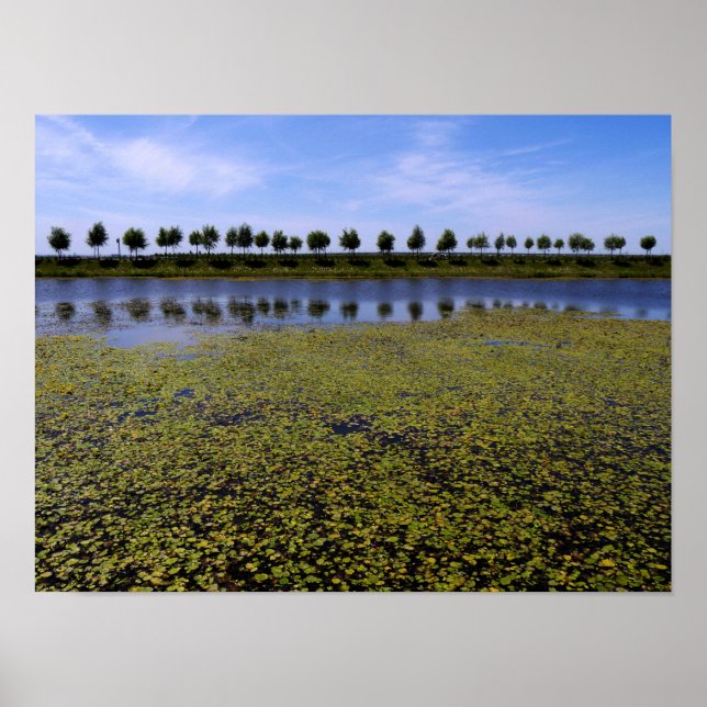 Landscape Waterscape Poster (Front)
