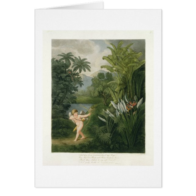 Landscape with Cupid aiming an arrow at a Parrot o (Front)