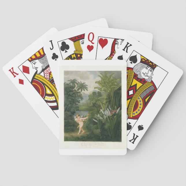 Landscape with Cupid aiming an arrow at a Parrot o Playing Cards (Back)
