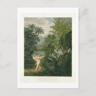 Landscape with Cupid aiming an arrow at a Parrot o Postcard