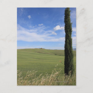 Landscape with Cypress Postcard