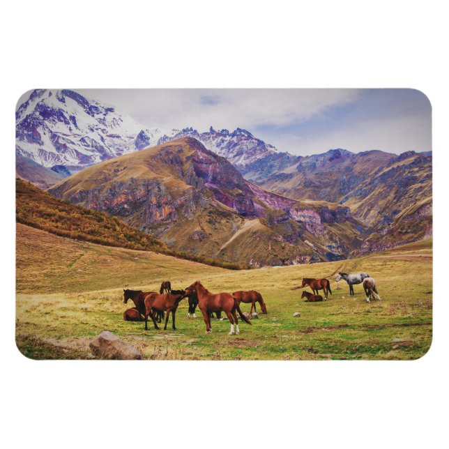 Landscape with horses in Georgian mountains Magnet (Horizontal)