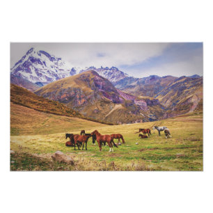 Landscape with horses in Georgian mountains Photo Print