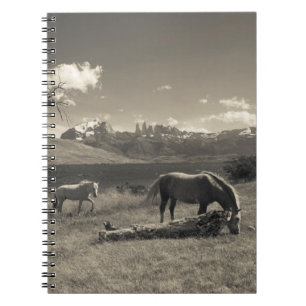 Landscape with horses notebook