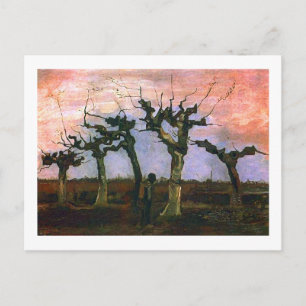 Landscape with Pollard Willows, Vincent van Gogh Postcard