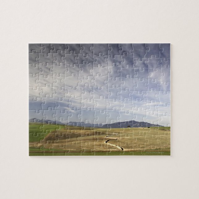 Landscape with wheat fields, Grabouw, Western Jigsaw Puzzle (Horizontal)