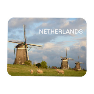 Landscape with windmills and sheep magnet