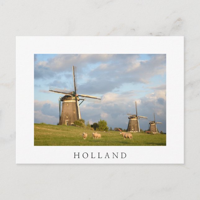 Landscape with windmills and sheep postcard (Front)
