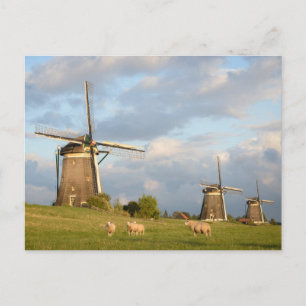 Landscape with windmills and sheep postcard