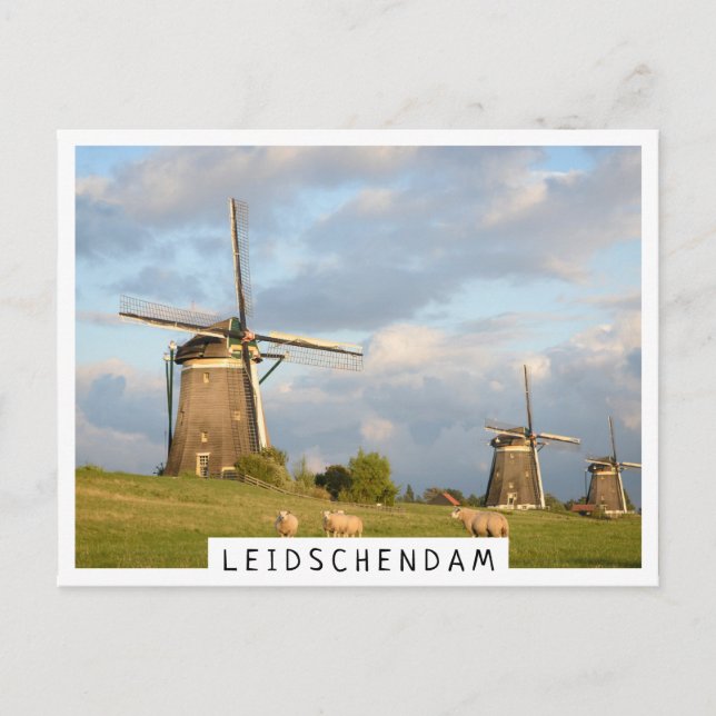 Landscape with windmills and sheep postcard (Front)