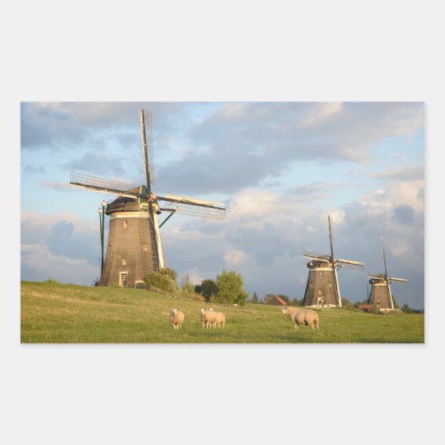 Landscape with windmills and sheep rectangular sticker (Front)