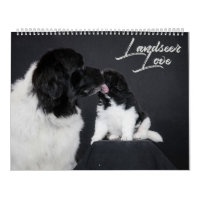 Landseer Love