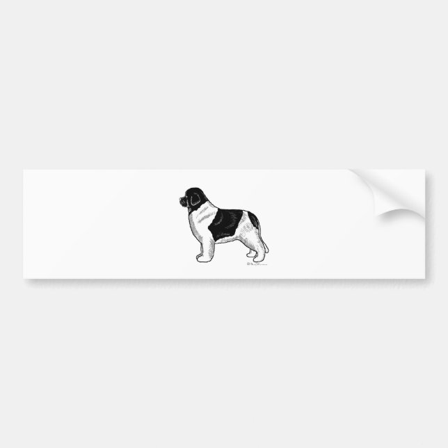 Landseer Newfoundland Bumper Sticker (Front)