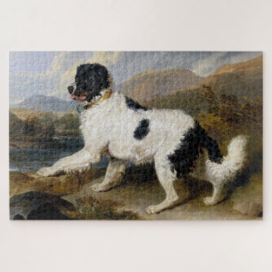 Landseer Newfoundland Dog (Black and White Animal) Jigsaw Puzzle
