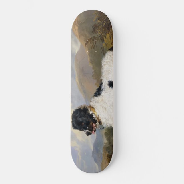Landseer Newfoundland Dog (Black and White Animal) Skateboard (Front)