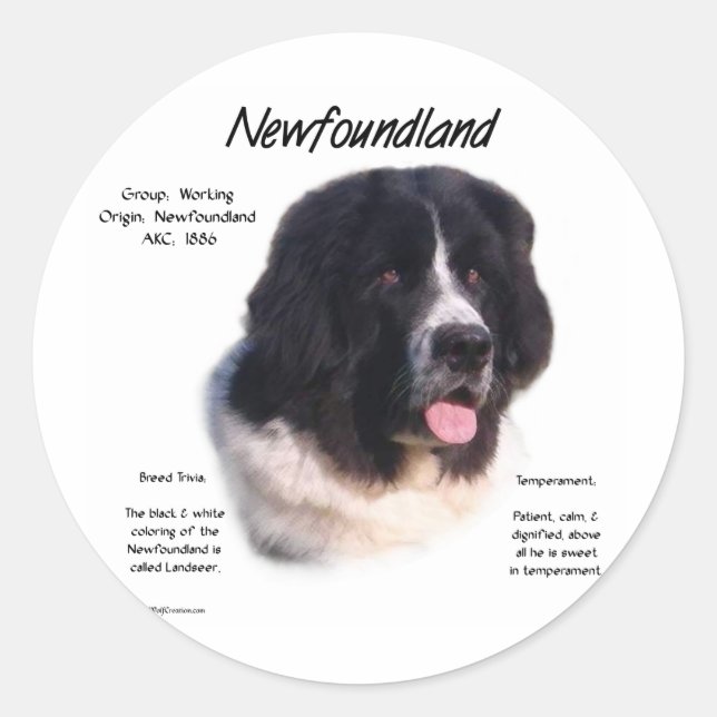 Landseer Newfoundland History; I love Newfies Classic Round Sticker (Front)