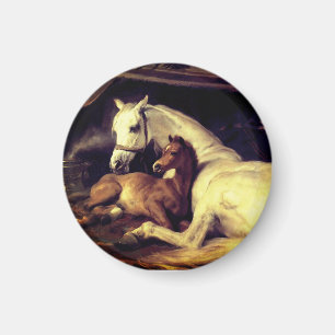 Landseer The Arab Tent Magnet