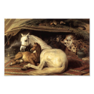 Landseer The Arab Tent Photo Print