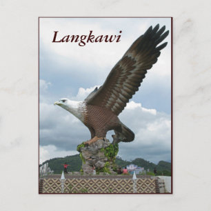 Langkawi Eagle Postcard
