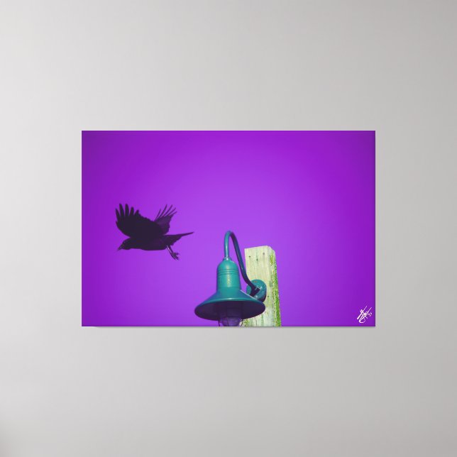 Langley Crow on Light Post Series #1 Canvas Print (Front)