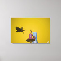 Langley Crow on Light Post Series #4