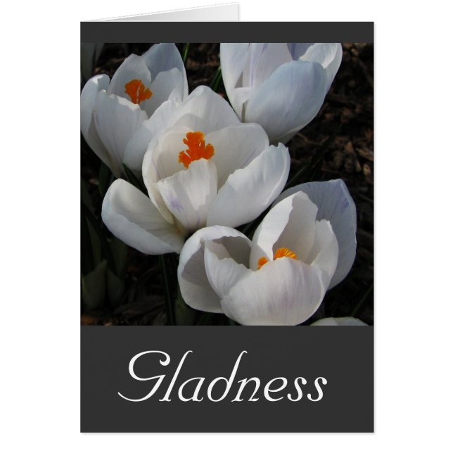 Language of Flowers (Front)